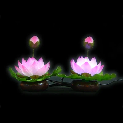 Tịnh độ trong trái tim ta